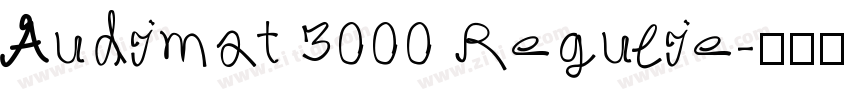 Audimat 3000 Regulie字体转换